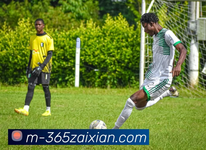 在线365平台生态图