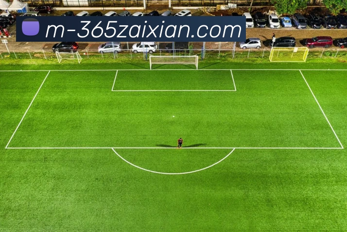 在线365APP 封面图